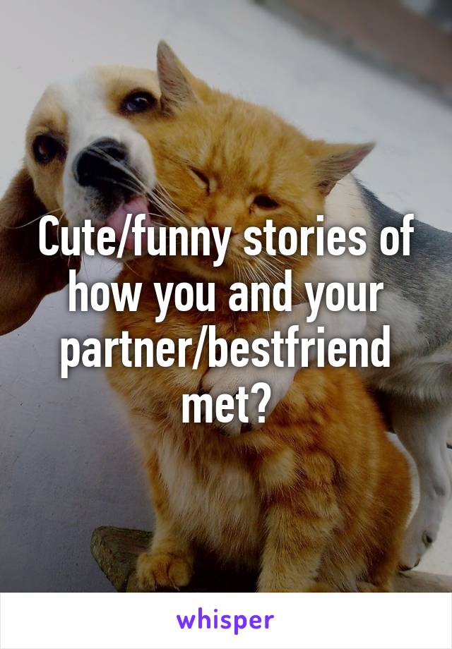 Cute/funny stories of how you and your partner/bestfriend met?