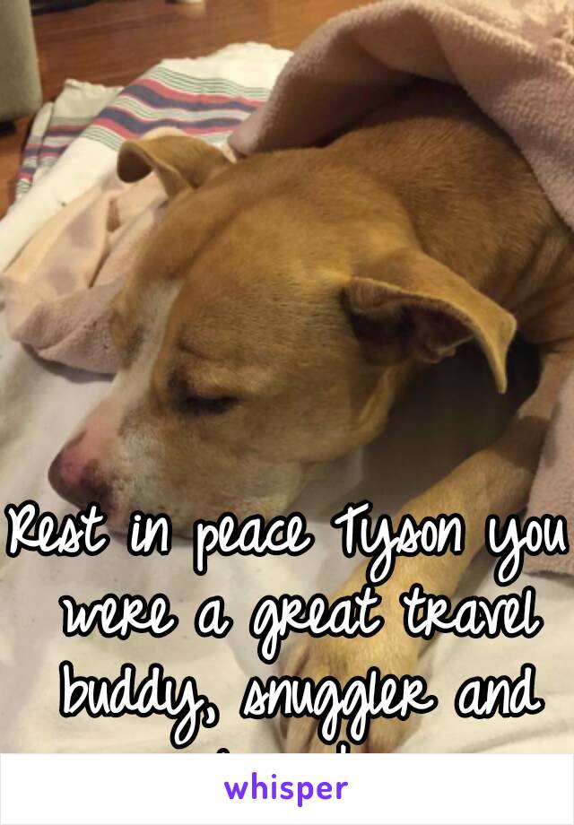 Rest in peace Tyson you were a great travel buddy, snuggler and smile maker. 