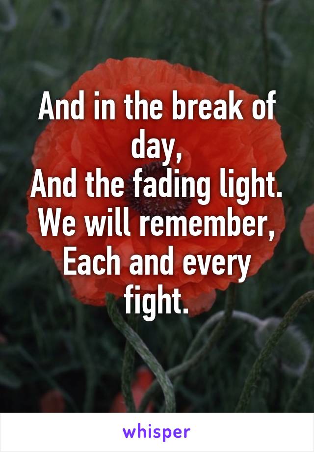 And in the break of day,
And the fading light.
We will remember,
Each and every fight.
