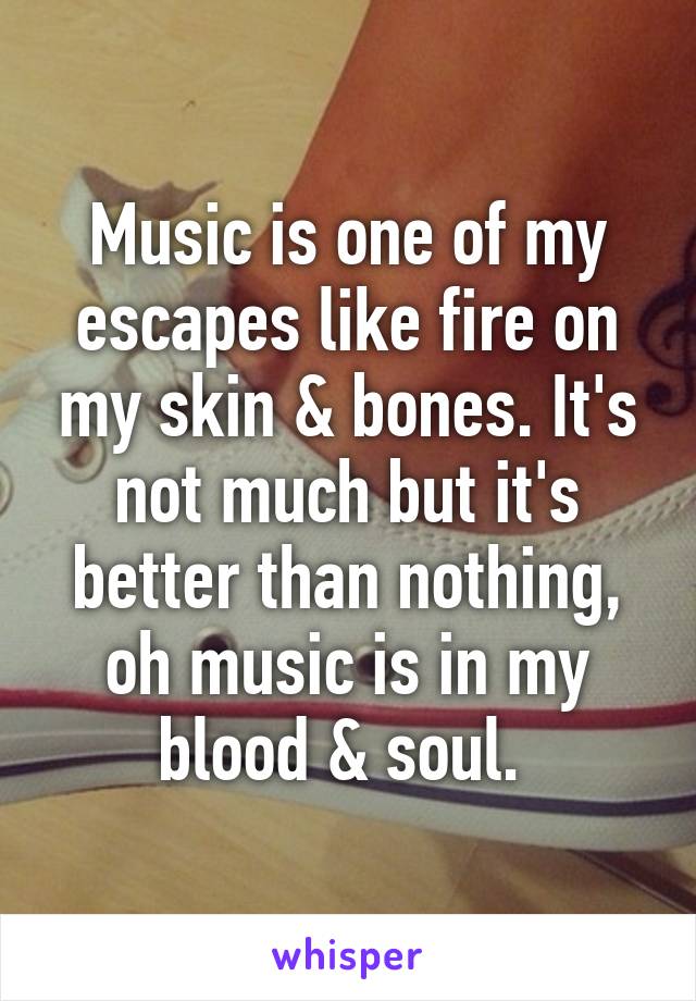 Music is one of my escapes like fire on my skin & bones. It's not much but it's better than nothing, oh music is in my blood & soul. 