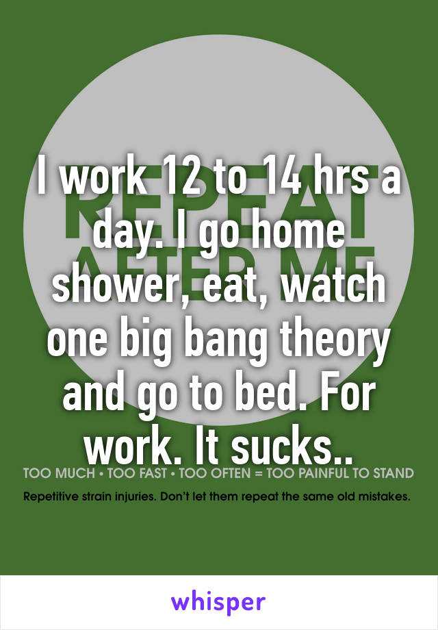 I work 12 to 14 hrs a day. I go home shower, eat, watch one big bang theory and go to bed. For work. It sucks..