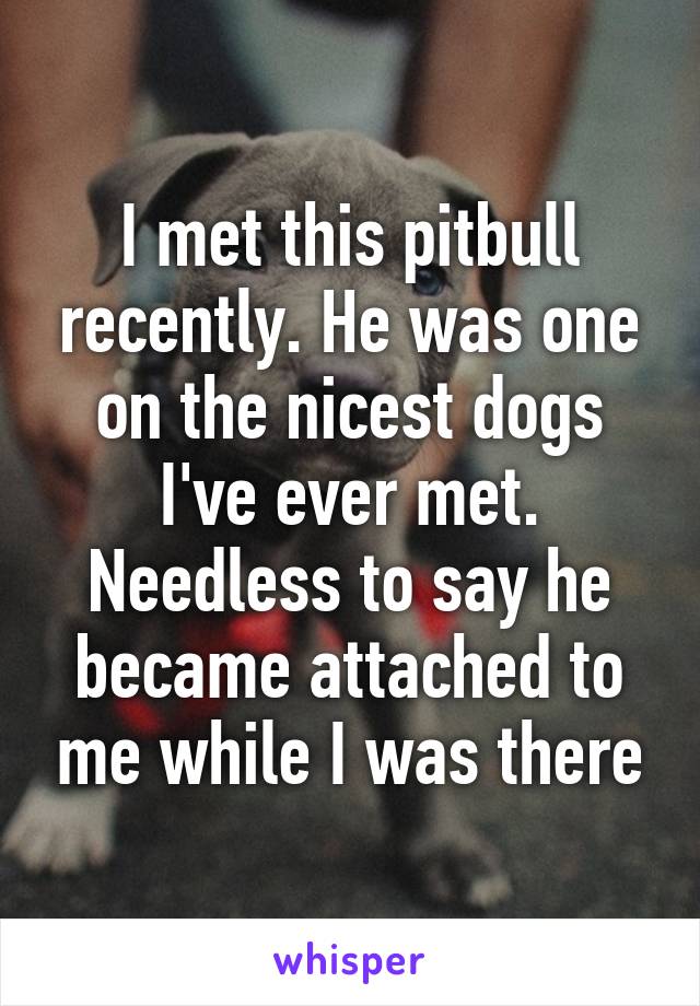 I met this pitbull recently. He was one on the nicest dogs I've ever met. Needless to say he became attached to me while I was there