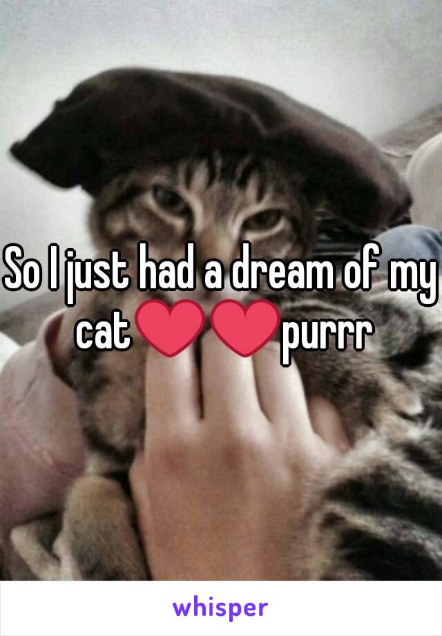 So I just had a dream of my cat❤❤purrr