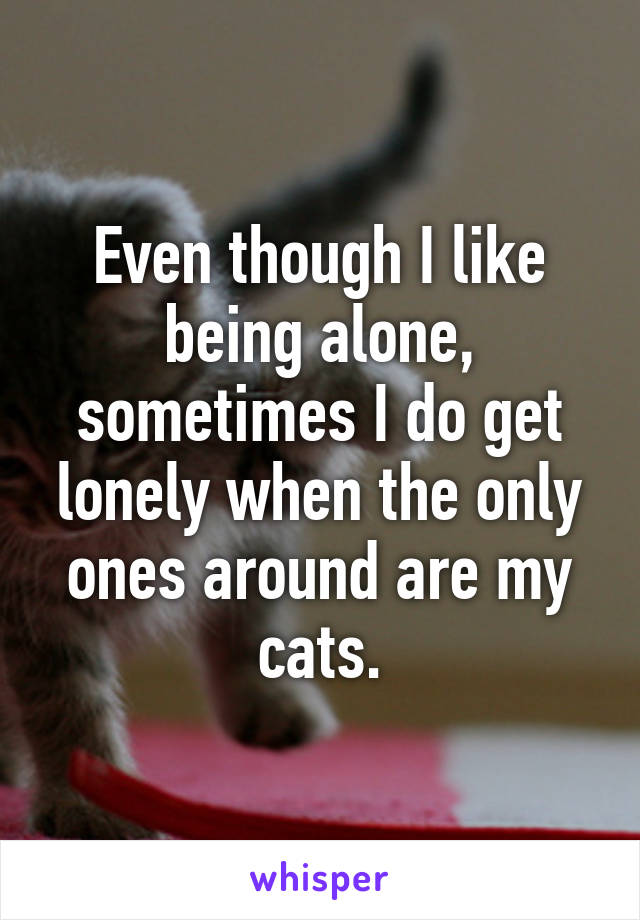 Even though I like being alone, sometimes I do get lonely when the only ones around are my cats.