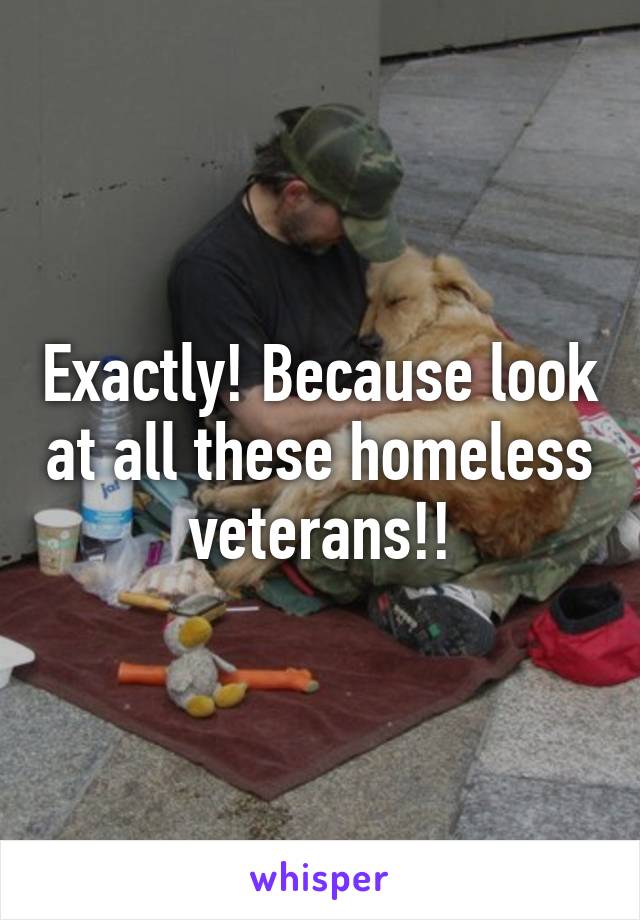 Exactly! Because look at all these homeless veterans!!