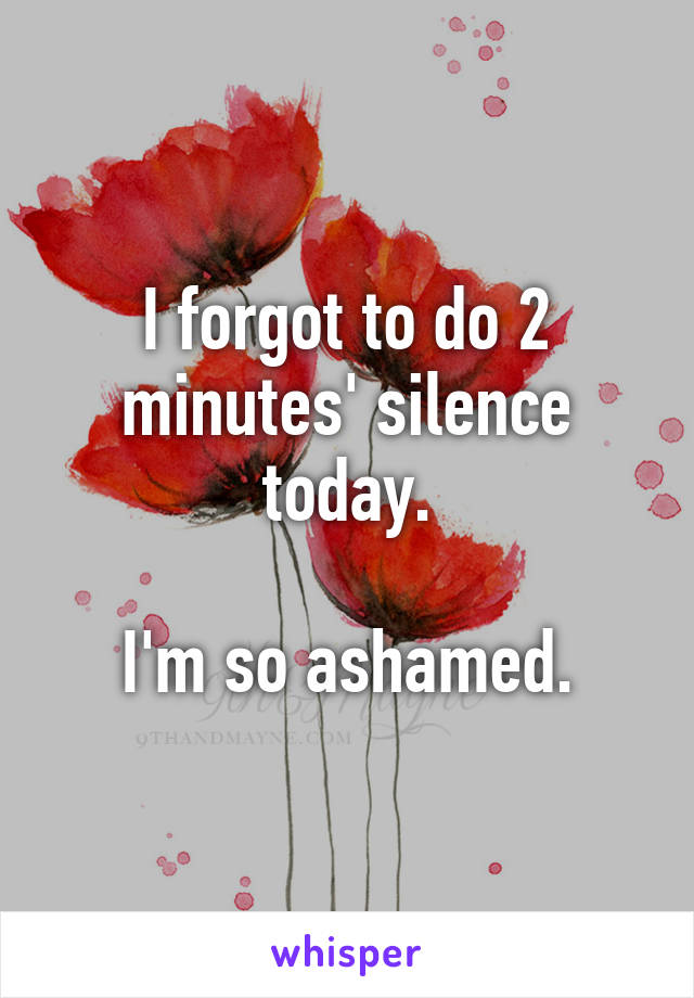 I forgot to do 2 minutes' silence today.

I'm so ashamed.