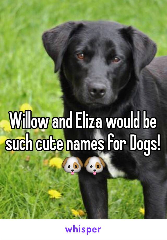 Willow and Eliza would be such cute names for Dogs! 🐶🐶