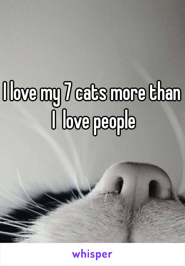 I love my 7 cats more than I  love people