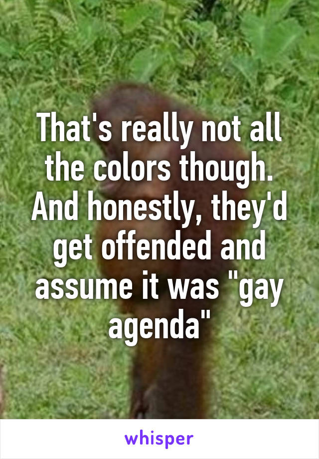 That's really not all the colors though. And honestly, they'd get offended and assume it was "gay agenda"