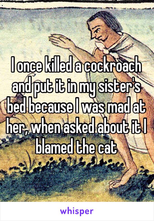 I once killed a cockroach and put it in my sister's bed because I was mad at her, when asked about it I blamed the cat