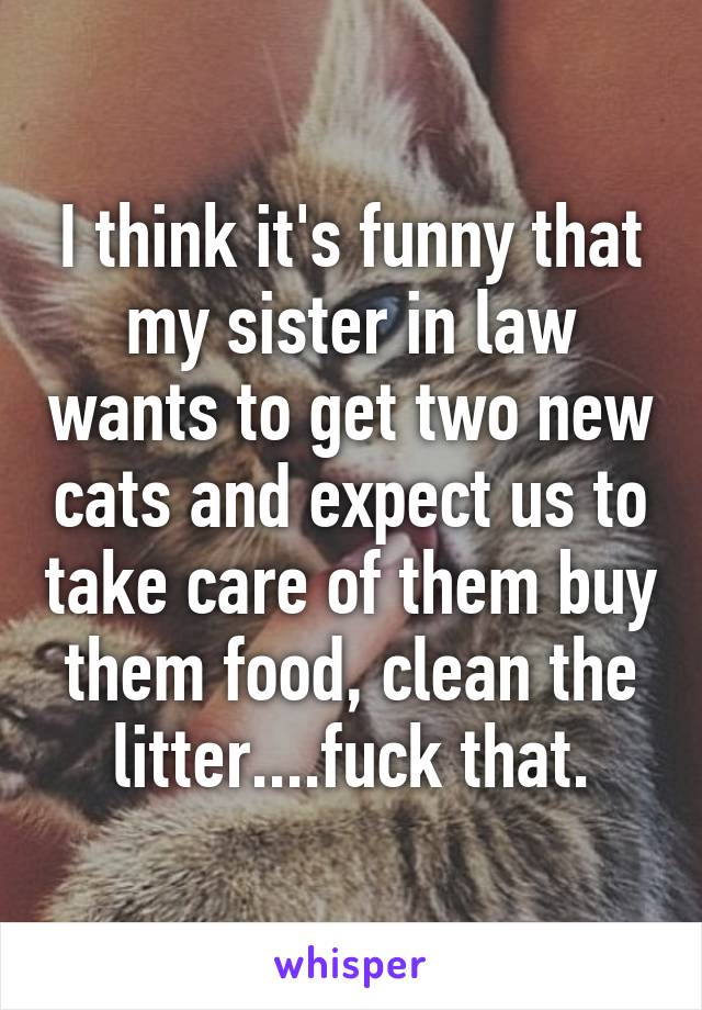 I think it's funny that my sister in law wants to get two new cats and expect us to take care of them buy them food, clean the litter....fuck that.