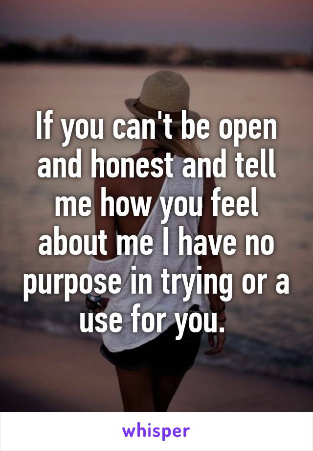 If you can't be open and honest and tell me how you feel about me I have no purpose in trying or a use for you. 