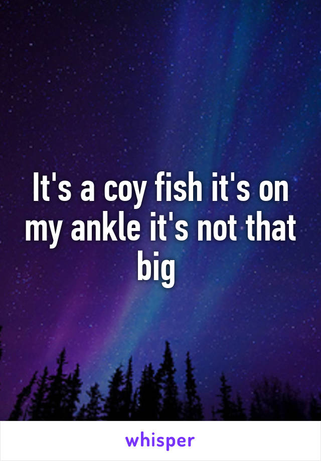 It's a coy fish it's on my ankle it's not that big 