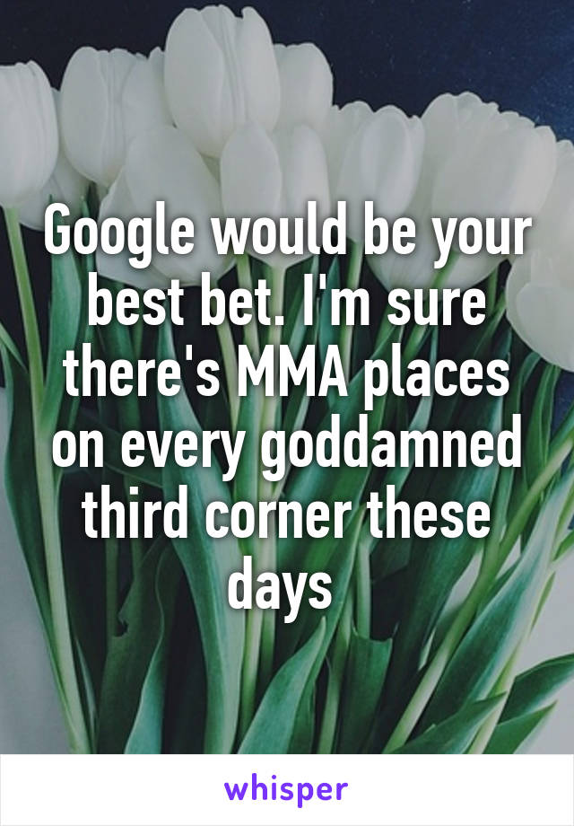 Google would be your best bet. I'm sure there's MMA places on every goddamned third corner these days 