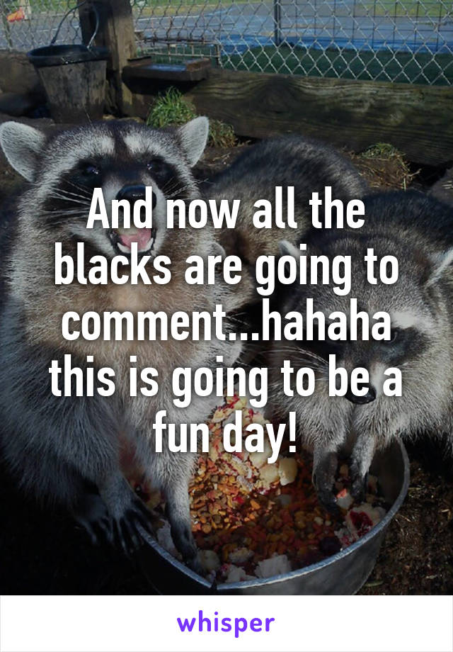 And now all the blacks are going to comment...hahaha this is going to be a fun day!