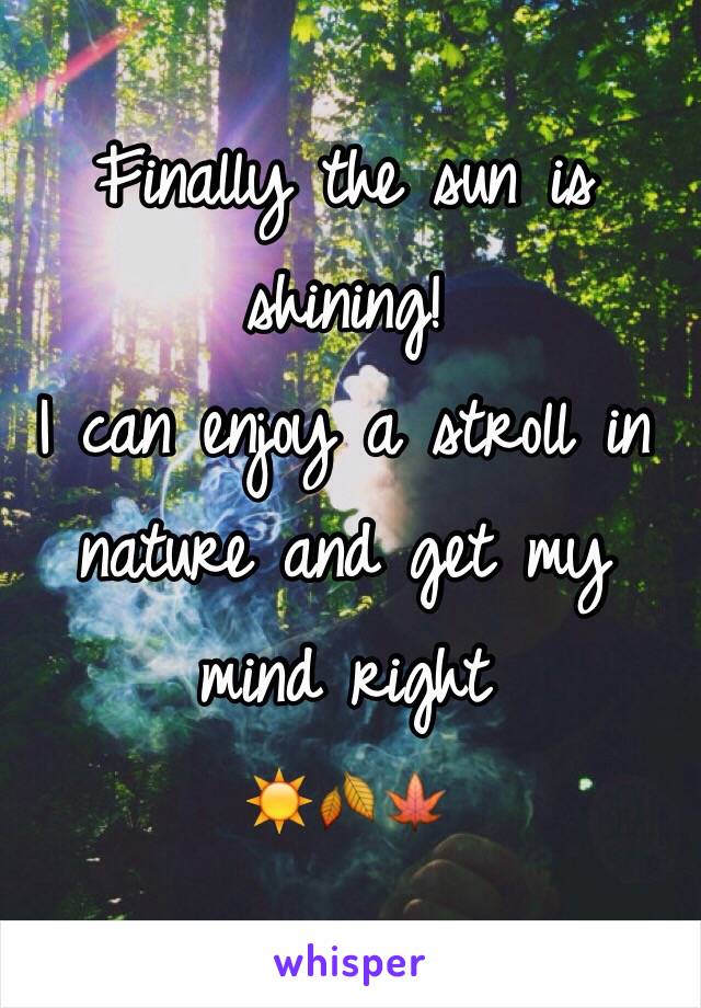 Finally the sun is shining!
I can enjoy a stroll in nature and get my mind right 
☀️🍂🍁