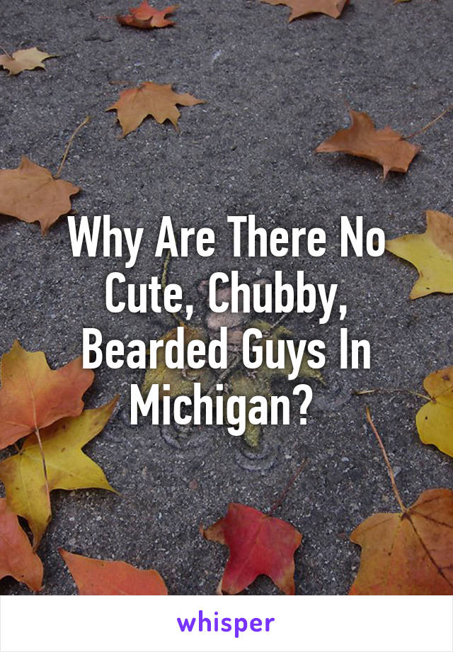 Why Are There No Cute, Chubby, Bearded Guys In Michigan? 