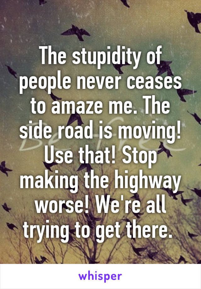 The stupidity of people never ceases to amaze me. The side road is moving! Use that! Stop making the highway worse! We're all trying to get there. 