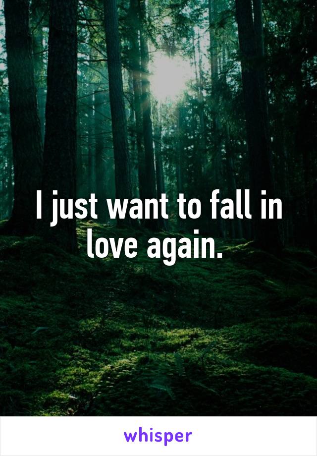 I just want to fall in love again. 