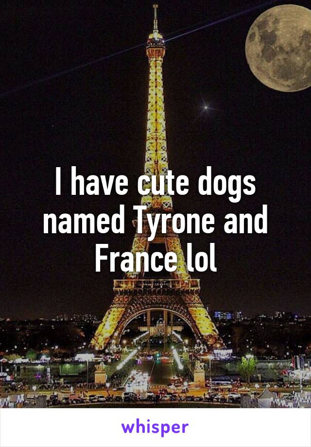 I have cute dogs named Tyrone and France lol