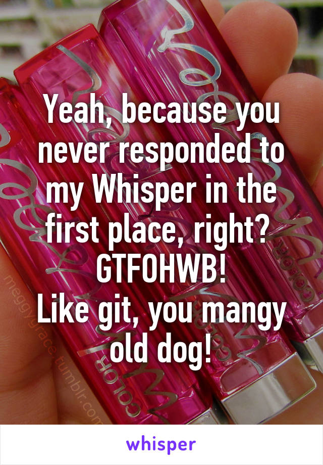 Yeah, because you never responded to my Whisper in the first place, right? 
GTFOHWB!
Like git, you mangy old dog!