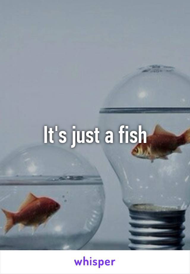 It's just a fish