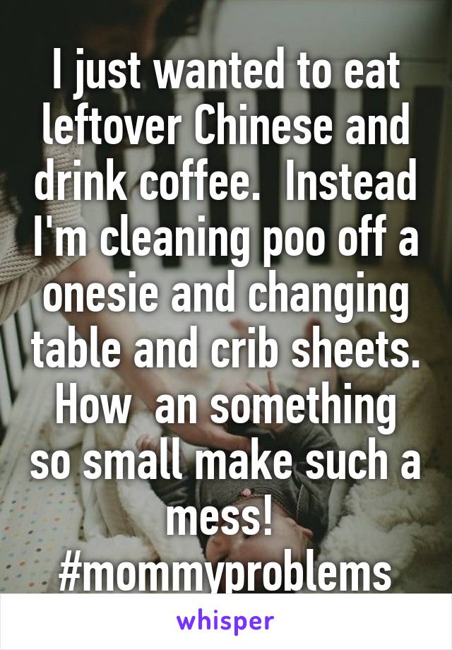 I just wanted to eat leftover Chinese and drink coffee.  Instead I'm cleaning poo off a onesie and changing table and crib sheets. How  an something so small make such a mess! 
#mommyproblems