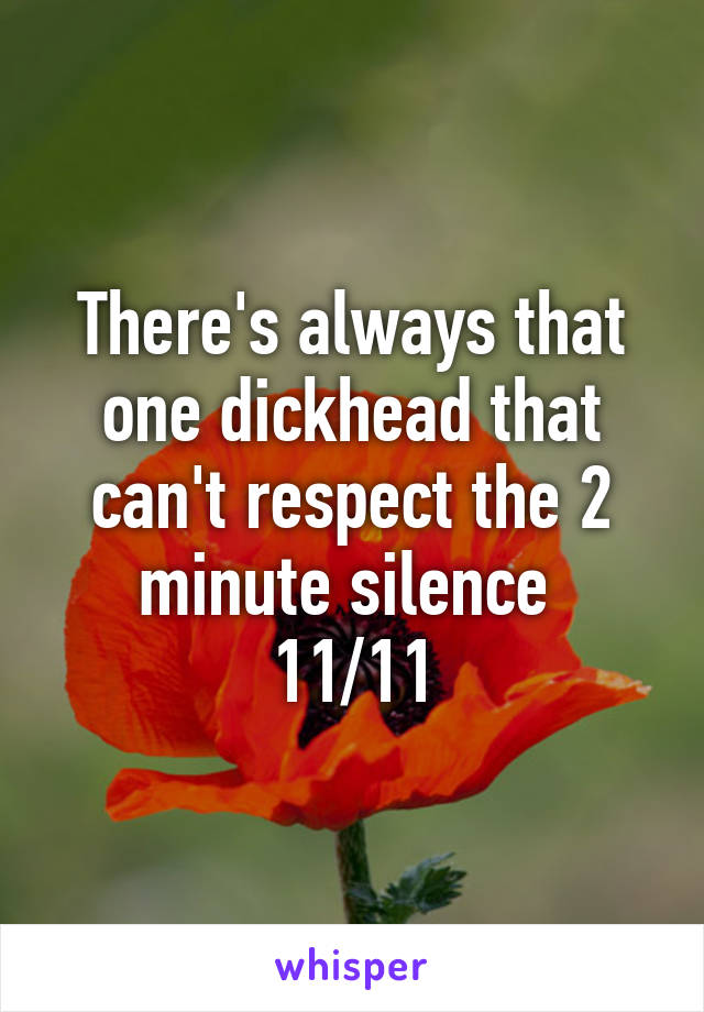 There's always that one dickhead that can't respect the 2 minute silence 
11/11