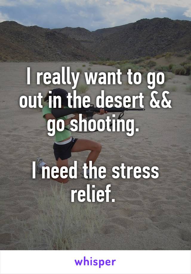 I really want to go out in the desert && go shooting. 

I need the stress relief. 