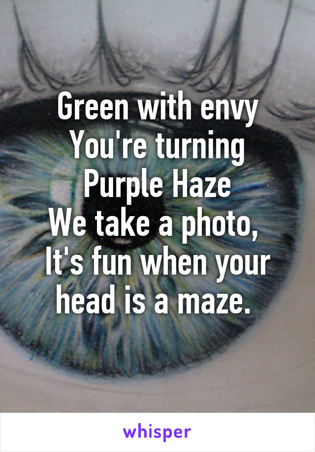 Green with envy
You're turning Purple Haze
We take a photo, 
It's fun when your head is a maze. 
