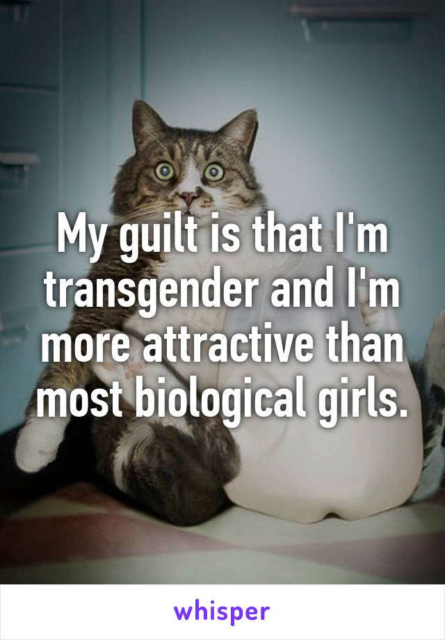 My guilt is that I'm transgender and I'm more attractive than most biological girls.