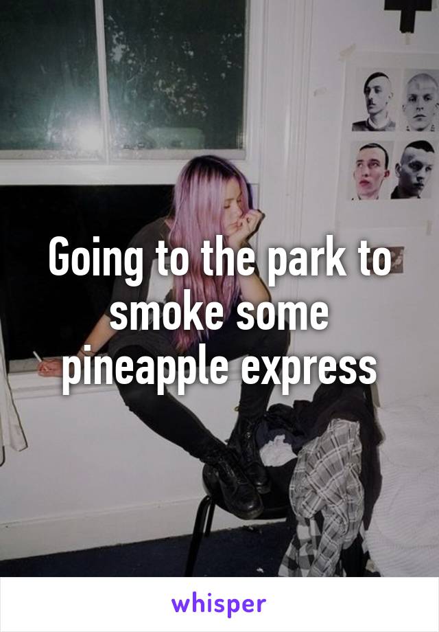 Going to the park to smoke some pineapple express