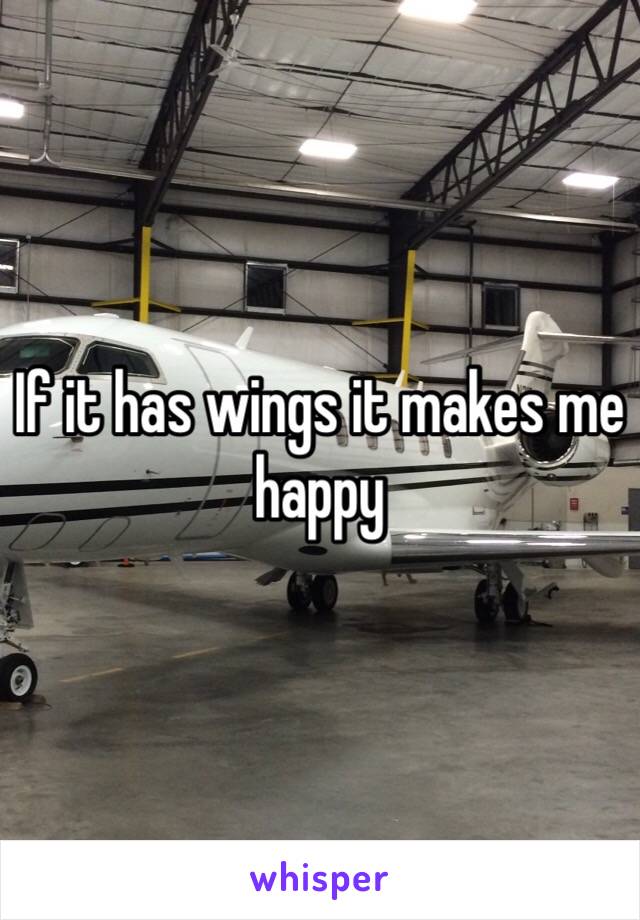 If it has wings it makes me happy 