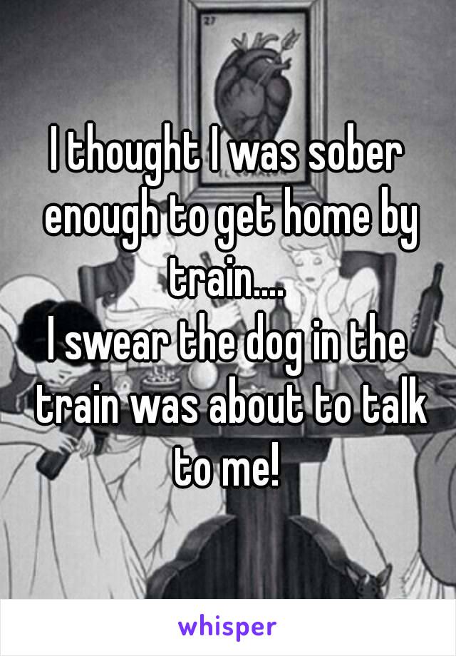 I thought I was sober enough to get home by train.... 
I swear the dog in the train was about to talk to me! 
