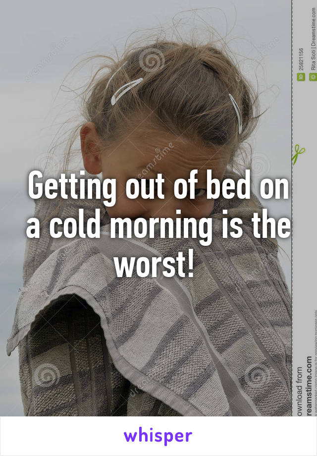 Getting out of bed on a cold morning is the worst! 