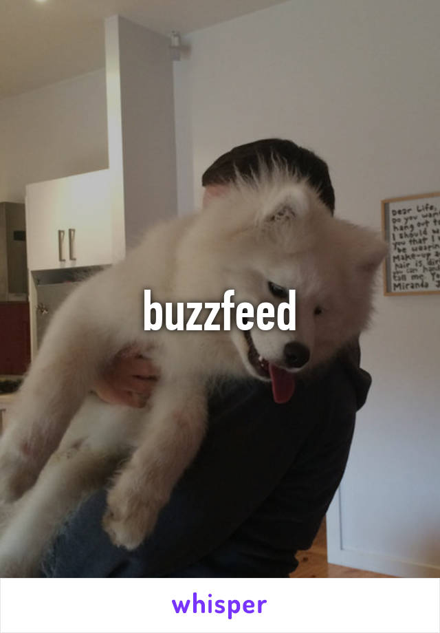 buzzfeed