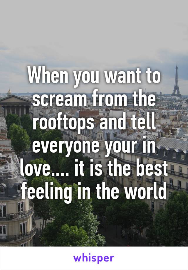 When you want to scream from the rooftops and tell everyone your in love.... it is the best feeling in the world