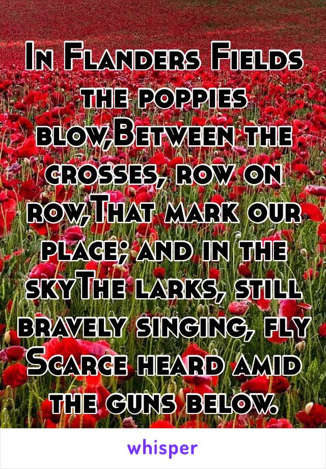 In Flanders Fields the poppies blow,Between the crosses, row on row,That mark our place; and in the skyThe larks, still bravely singing, fly
Scarce heard amid the guns below.