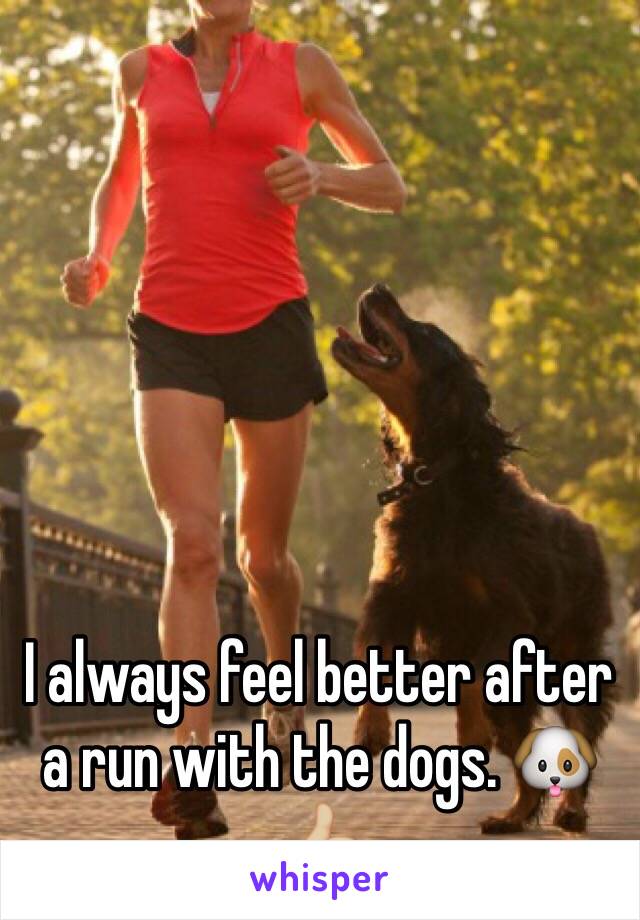 I always feel better after a run with the dogs. 🐶👍🏼