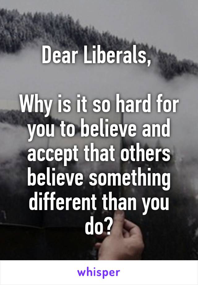 Dear Liberals, 

Why is it so hard for you to believe and accept that others believe something different than you do?