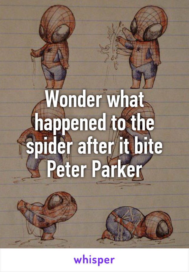 Wonder what happened to the spider after it bite Peter Parker