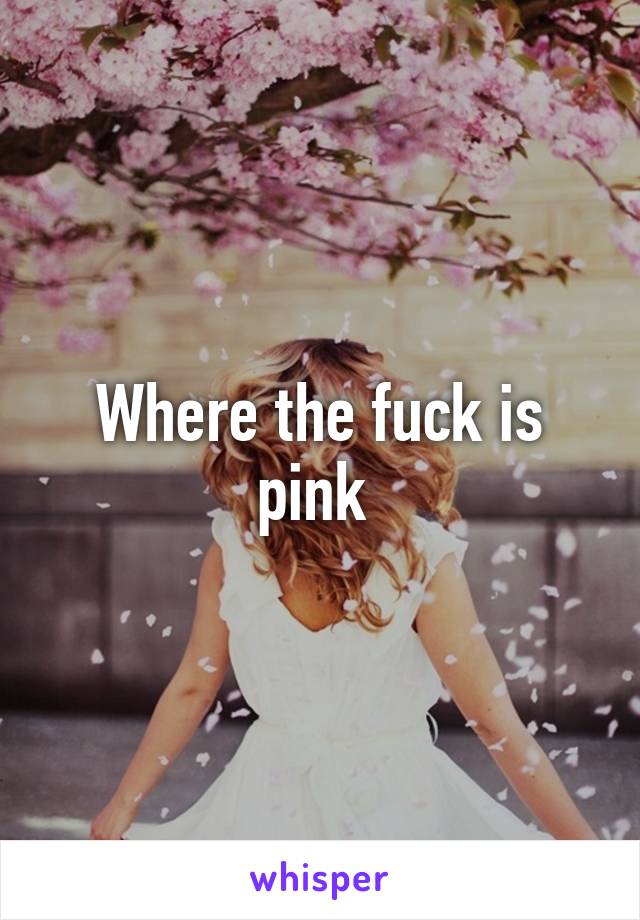 Where the fuck is pink 