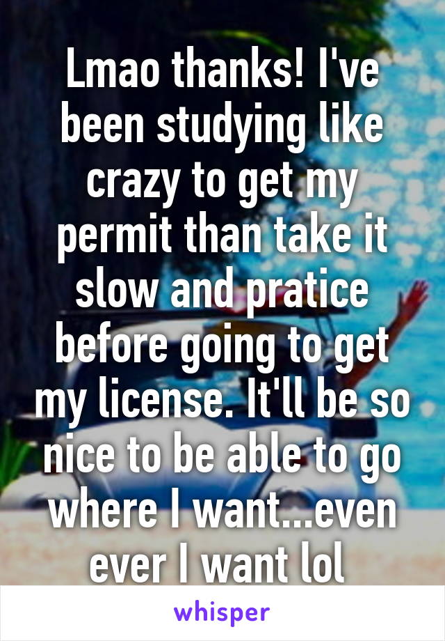 Lmao thanks! I've been studying like crazy to get my permit than take it slow and pratice before going to get my license. It'll be so nice to be able to go where I want...even ever I want lol 