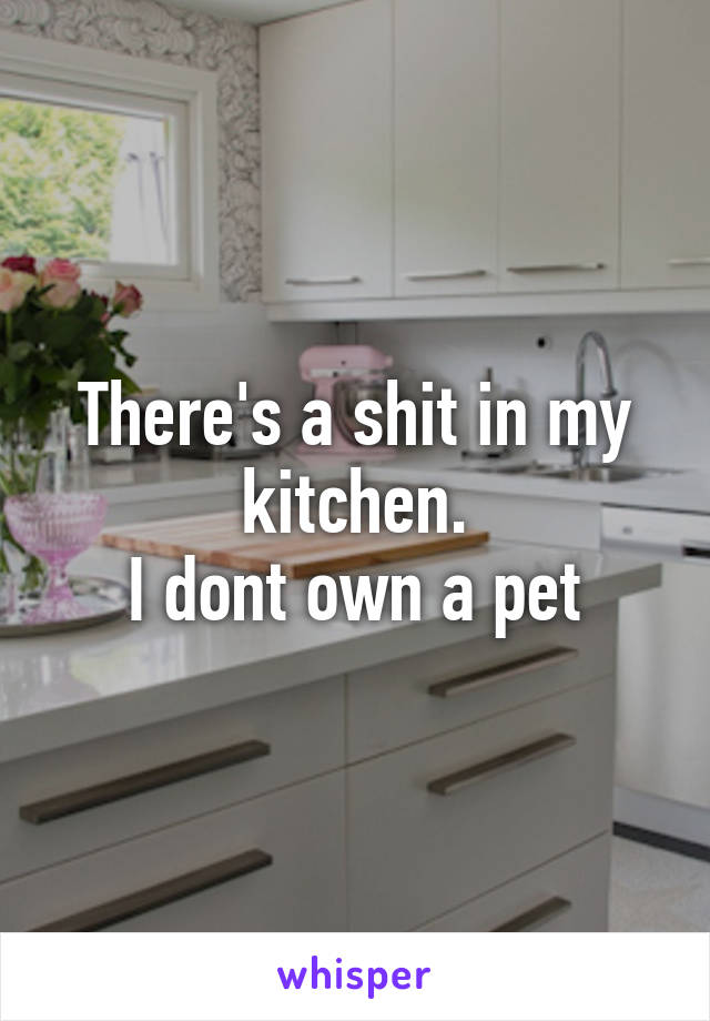 There's a shit in my kitchen.
I dont own a pet