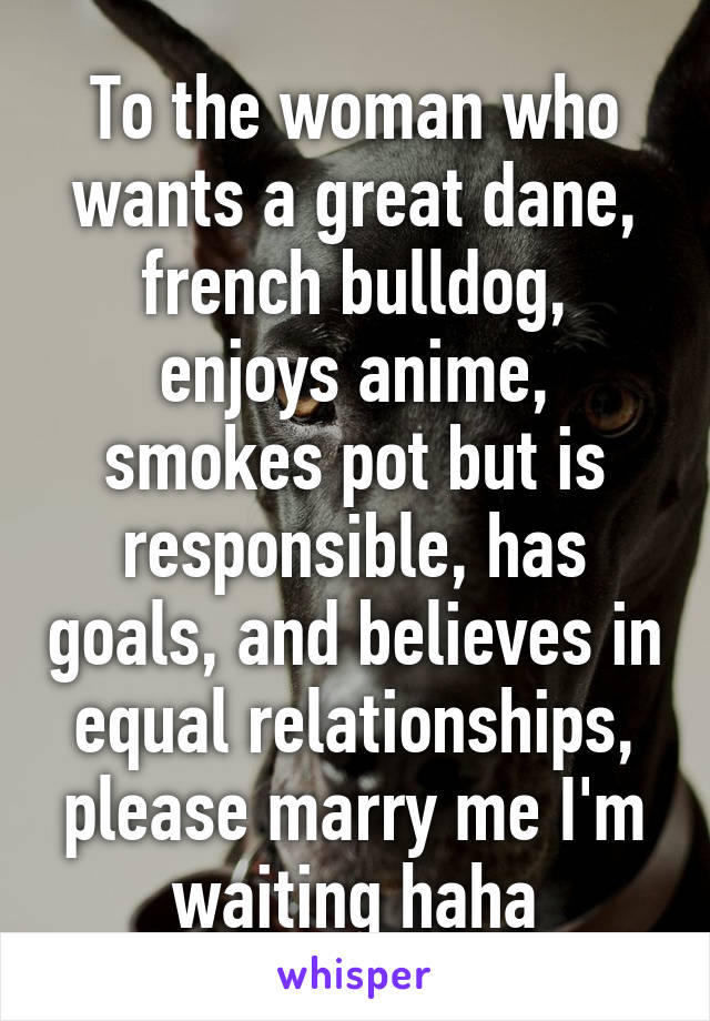 To the woman who wants a great dane, french bulldog, enjoys anime, smokes pot but is responsible, has goals, and believes in equal relationships, please marry me I'm waiting haha