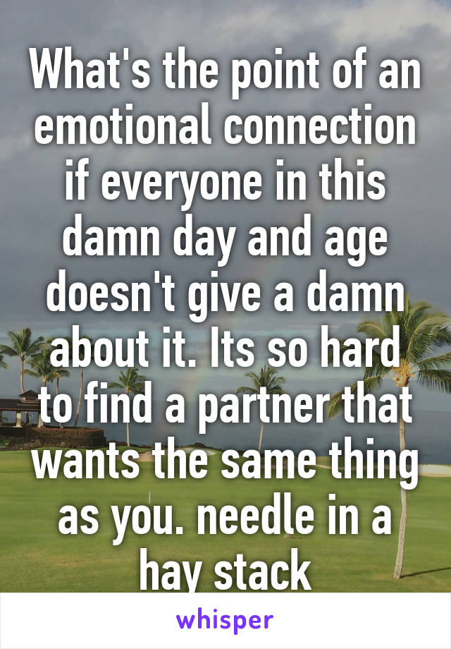 What's the point of an emotional connection if everyone in this damn day and age doesn't give a damn about it. Its so hard to find a partner that wants the same thing as you. needle in a hay stack