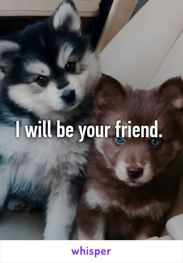 I will be your friend. 