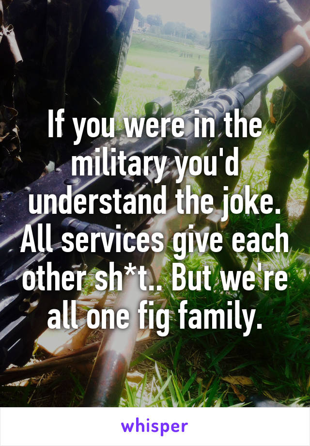 If you were in the military you'd understand the joke. All services give each other sh*t.. But we're all one fig family.