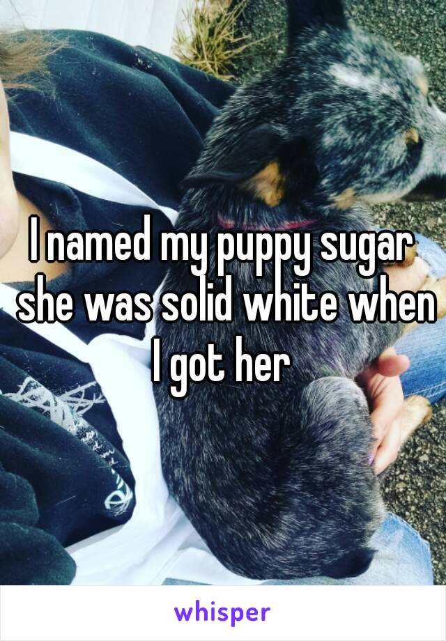 I named my puppy sugar she was solid white when I got her 