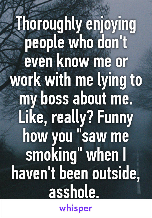 Thoroughly enjoying people who don't even know me or work with me lying to my boss about me. Like, really? Funny how you "saw me smoking" when I haven't been outside, asshole. 